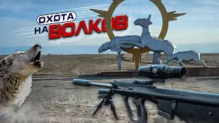 Охота на ВОЛКОВ на приваде! 25 ЧАСОВ в засидке