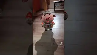 СВИНКА С ПОЛЬШЫ