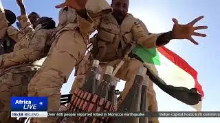 Experts share views on Sudanese army chief dissolving paramilitary RSF
