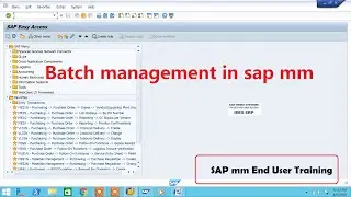 Batch Management in sap mm