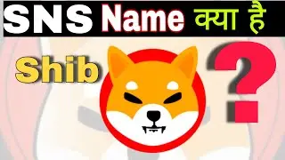 Shib Name Service (SNS) on Shibarium || Your unique Shib identity 