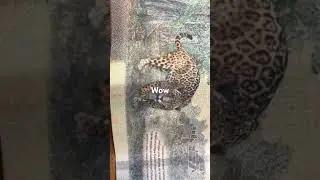 Mil pesos $1,000 nuevo billete