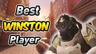 Winston Pro Play