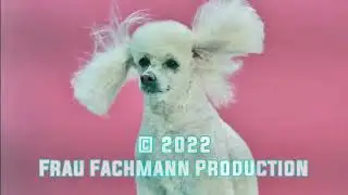 Frau Fachmann Production 2022