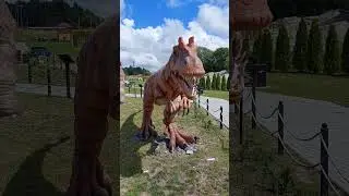 Для любителей динозавров) пишите в комментариях его название 🙃