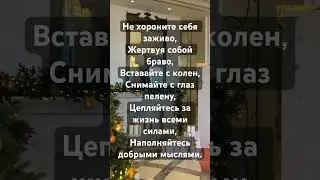Не хороните себя заживо
