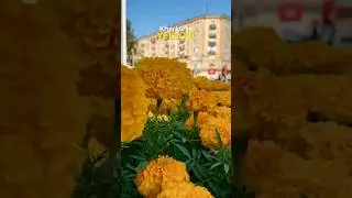 Харків🇺🇦❤#славаукраїні #рекомендации #українаєдина #українськийютуб #славазсу #підтримайукраїнське