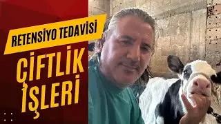 Veteriner Hekimle Çiftlik İşleri / Ceyhan Soysalı