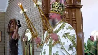 Митрополит Иларион.MOV