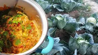 Harvesting Homegrown Organic Vegetables and Cooking Vegan Cabbage Stew