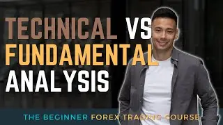 Lesson 6. Forex Trading For Beginners - Technical vs Fundamental Analysis
