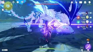 Raiden Shogun 250k damage on weekly boss!