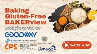 Baking Gluten Free | BAKERview | BAKERpedia
