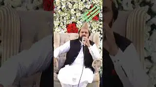 Sayed Zabeeb Masood Shah Short Video