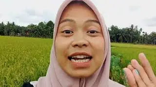 DESA WISATA MARGA MULYA || HITS TAHUN 2023 - Nyesel gak kesini 😭😭