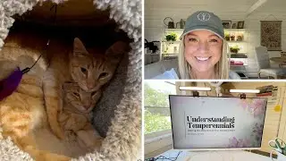🐈 BARN CATS! 🐈 :: New Friends, Office Tour & BTS of My Master Gardener Presentation!