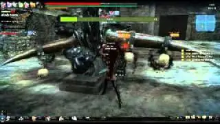 Vindictus Fiona Klaus Solo