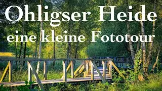 Ohligser Heide (eine kleine Fototour)