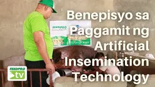 Benipisyo sa Paggamit ng Artificial Insemination Technology