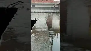 #barish #barishstatus #ganga #love
