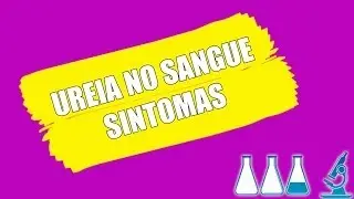 UREIA NO SANGUE SINTOMAS