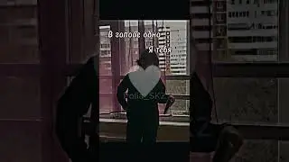 Я их 🤍