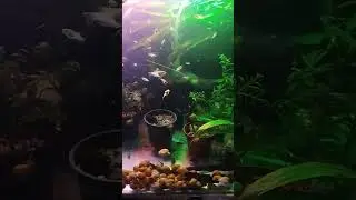 Гасим свет...да пошёл ты🤣🤣🤣
