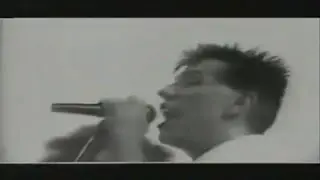 La pacha - Los Nosequien y los Nosecuantos