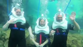 SeaVenture at Discovery Cove: What to Expect on This Amazing Underwater Walking Tour