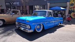 C10 intervention 2024
