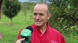 Huerta de Granada