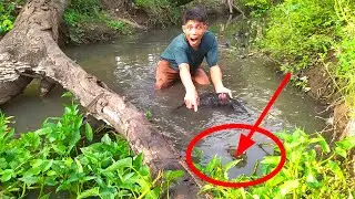 DARI UJUNG SUNGAI SIBU IKAN DISUNGAI BERBURU IKAN BUNTAYANG