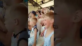 Дельфинарий Немо в Анапе 26.07.2016