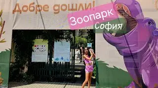 ЗООПАРК София🐘 - ЖЕГА, бенгалските ТИГРИ спят, а една МАЙМУНА крещеше