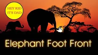 Who leads? Front Foot of the Elephant S01E10