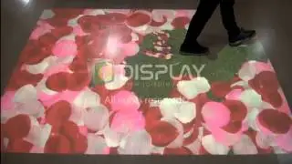 IDISPLAY.CO.TH :: Interactive Floor - Petal Effect