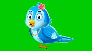 Tuni chidiya all pose green screen no copyright