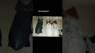 Creepy Discoveries at the bottom of lakes! Part#2 #shorts