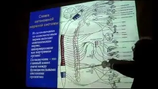 Увеличение продолжительности жизни.  Черкасов Анатолий Данилович