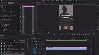 125 Using guides & rulers in Premiere Pro