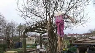 Sunny 11th March Allotment Plot Update 2017. Emily's First Tour.