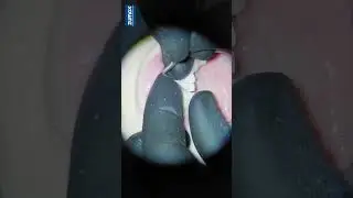 Вертипреп с кетчупом и оттиском