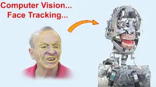 Mirror facial expressions Robot - Animatronics