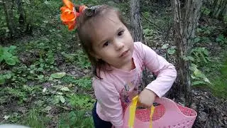 Природа, лес, грибочки и мы.