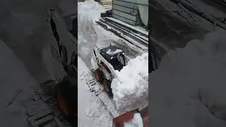22 марта 2024 г.
