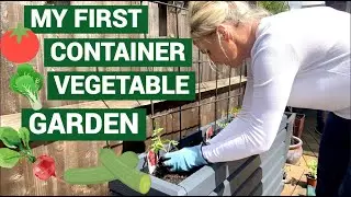 Planting My First Vegetable Container Garden-MONDAY VLOG