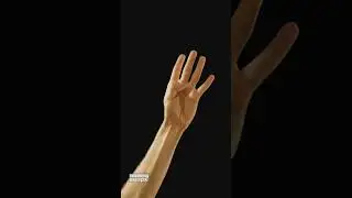 Повторяй, тренируйся!