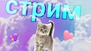 ОЦЕНКА КАНАЛОВ🐱