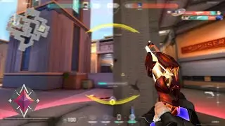 aimm