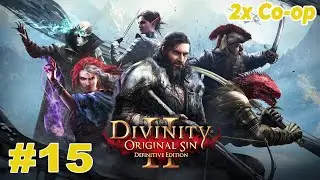 Co-op в Divinity Original Sin 2 | Прохождение